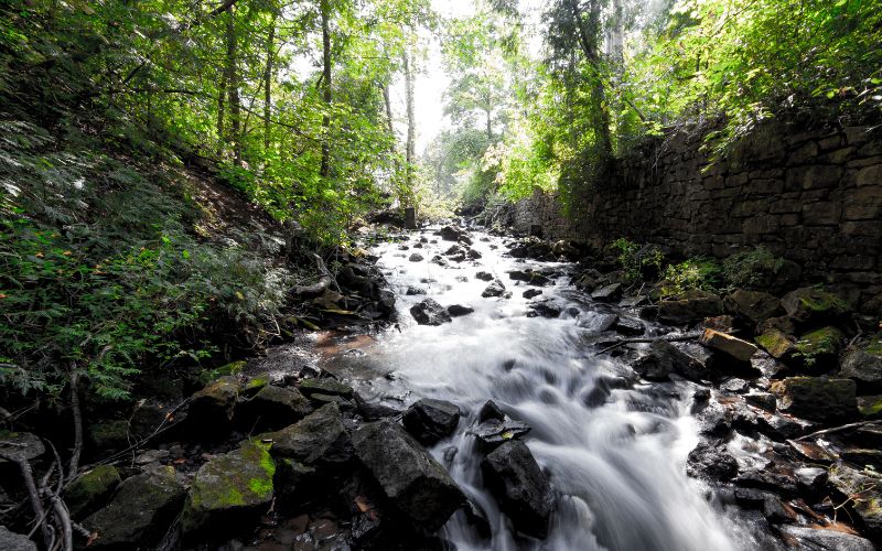 sonhar com agua corrente