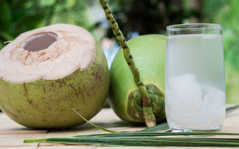 sonhar com água de coco