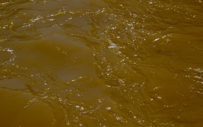 sonhar com agua suja e corrente