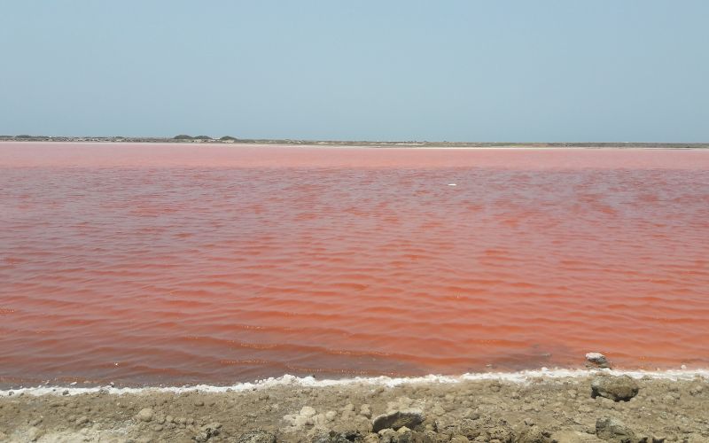 sonhar com mar vermelho