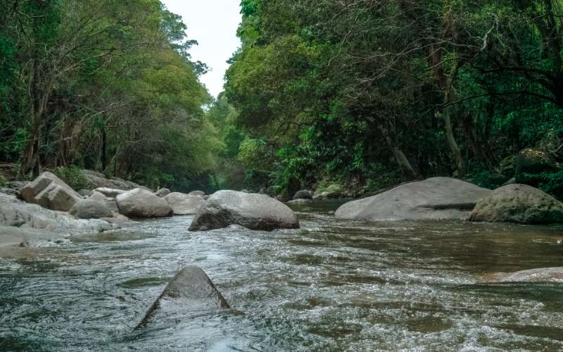 sonhar com rio água corrente