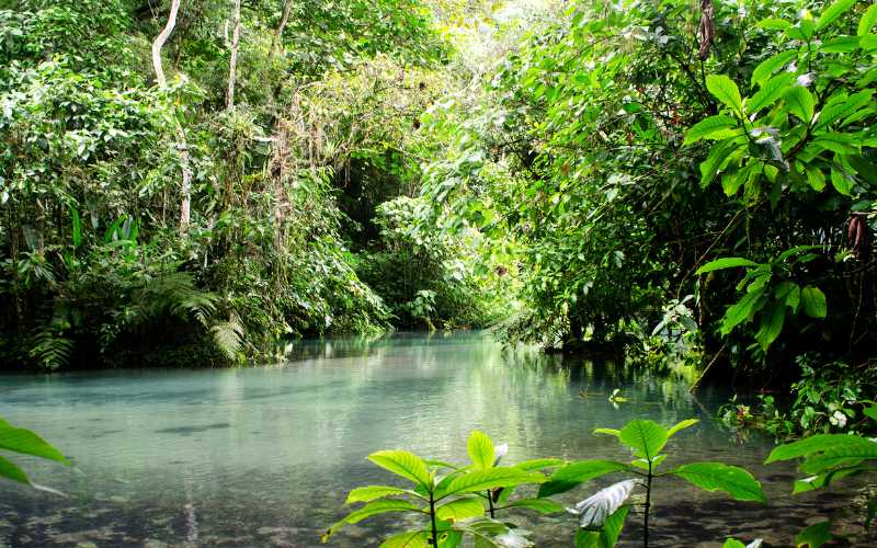  sonhar com rio verde