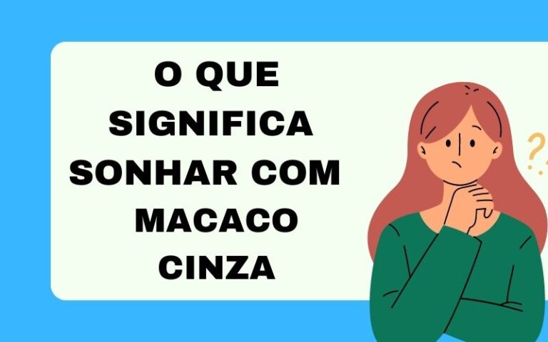 O que significa sonhar com macaco cinza