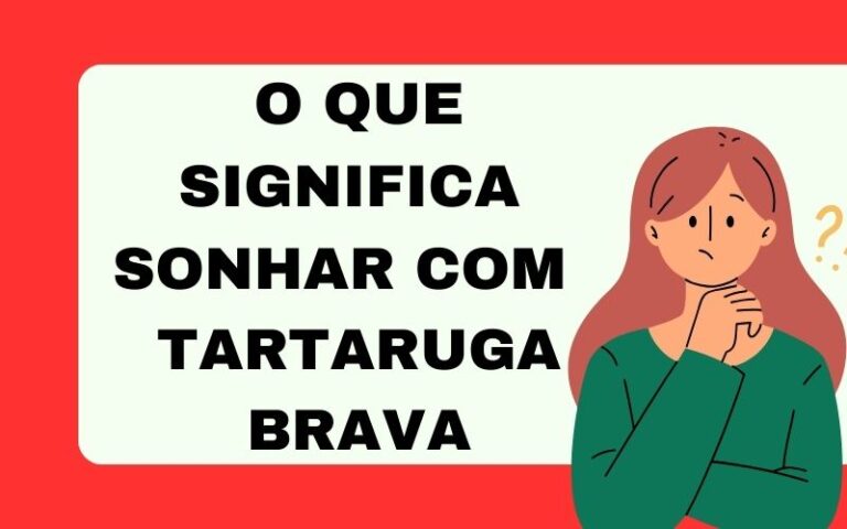 O que significa sonhar com tartaruga brava