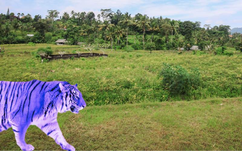  sonhar com tigre azul